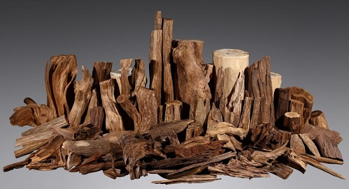 7 loại gỗ quý nhất Việt Nam