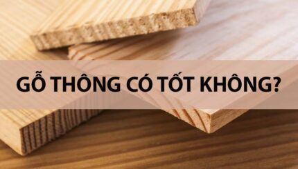 gỗ thông có tốt không