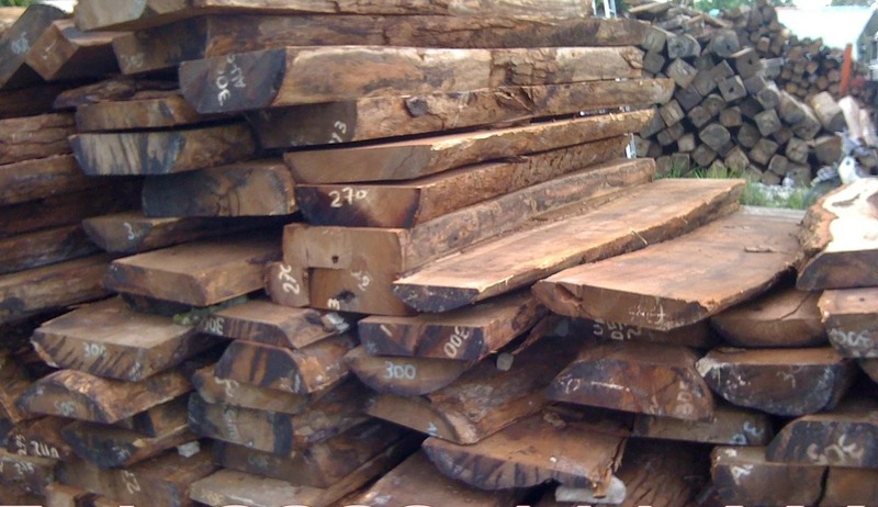 các loại gỗ tự nhiên