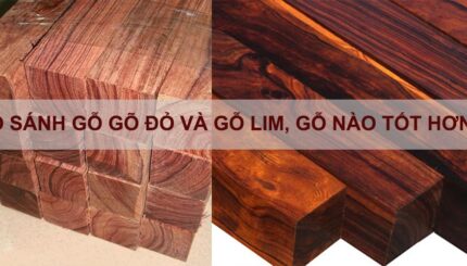 so sánh gỗ gõ đỏ và gỗ lim