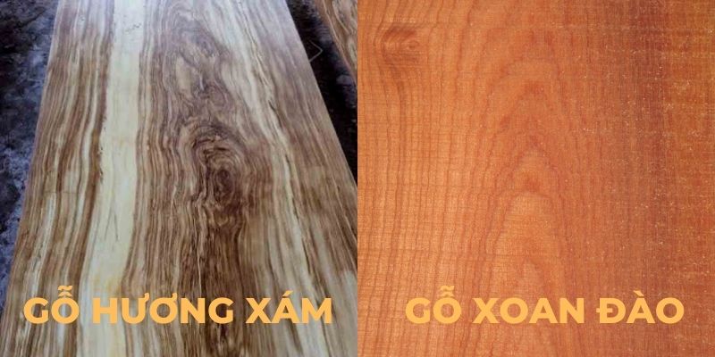 so sánh gỗ hương xám và gỗ xoan đào