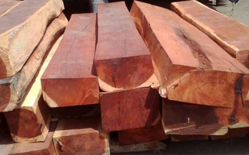 Việc lựa chọn và phân loại gỗ sẽ giúp quá trình sản xuất nội thất diễn ra thuận tiện hơn 